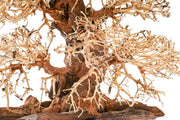 UNSHARDSCAPE UNS Bonsai 002 driftwood piece with intricate, natural wood textures and organic shape for bonsai or decorative display.