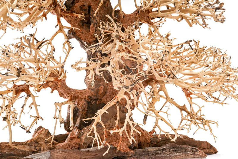 UNSHARDSCAPE UNS Bonsai 002 driftwood piece with intricate, natural wood textures and organic shape for bonsai or decorative display.