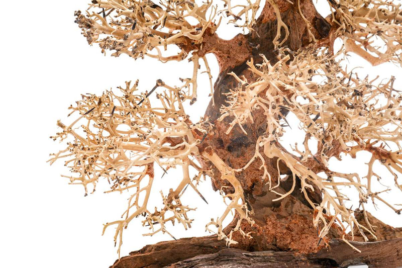 UNSHARDSCAPE UNS Bonsai 002 driftwood piece with intricate natural wood textures and organic shape, perfect for bonsai or decorative displays