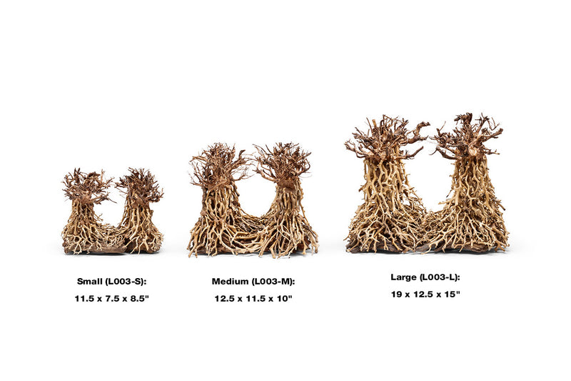 UNSHARDSCAPE UNS Bonsai 003 driftwood piece with intricate natural wood grain and organic shape, ideal for bonsai or decorative display.