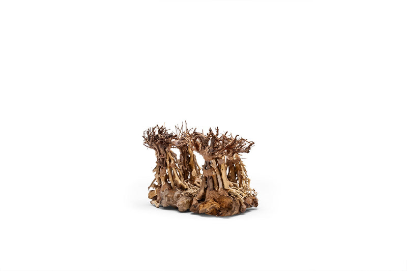UNSHARDSCAPE UNS Bonsai 003 driftwood piece with intricate natural wood details for bonsai or decorative purposes