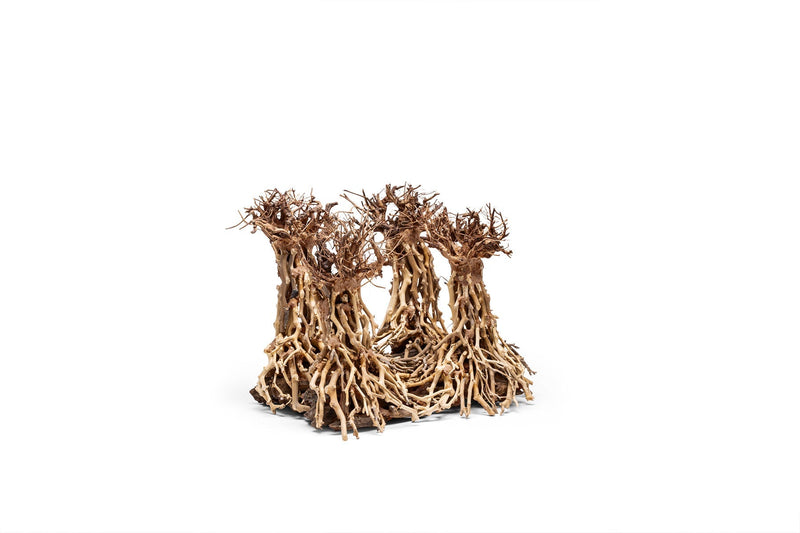 UNSHARDSCAPE UNS Bonsai 003 driftwood piece with intricate natural wood textures and organic shape for bonsai decoration.