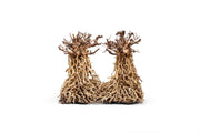 UNSHARDSCAPE UNS Bonsai 003 driftwood piece with intricate natural textures and organic shape for bonsai or decorative display