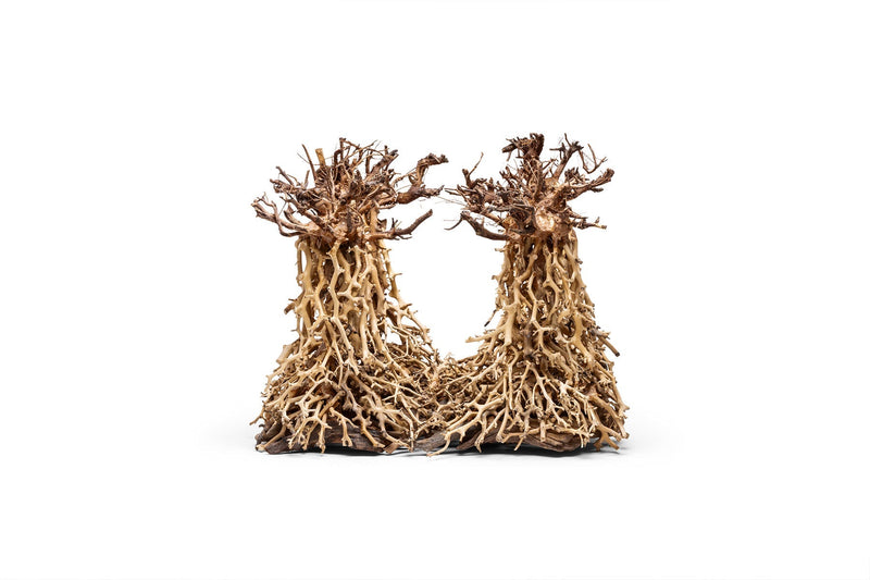 UNSHARDSCAPE UNS Bonsai 003 driftwood piece with intricate natural textures and organic shape for bonsai or decorative display