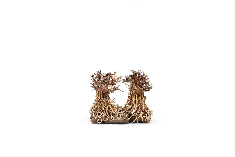 UNSHARDSCAPE UNS Bonsai 003 driftwood piece with intricate natural textures and organic shape for decorative or bonsai use