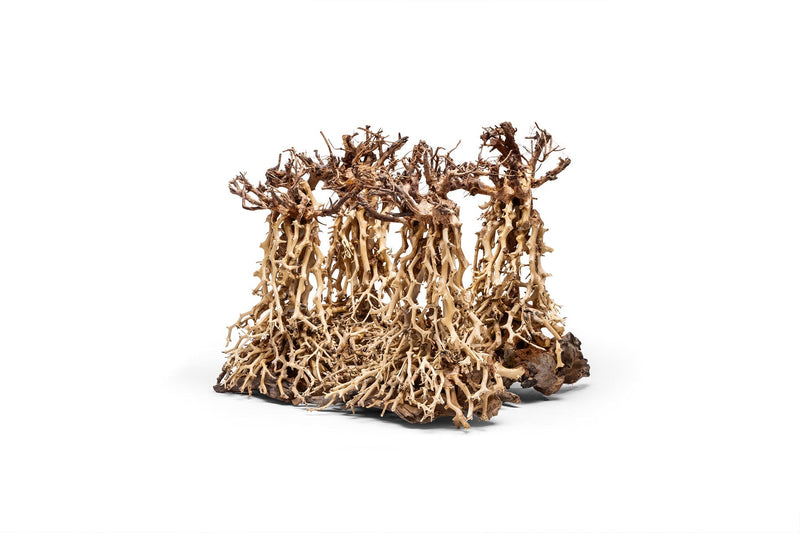 UNS Bonsai 003 driftwood piece from UNSHARDSCAPE, natural textured wood sculpture for bonsai or decorative displays.