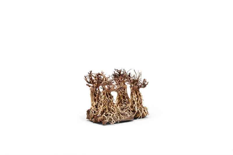 UNSHARDSCAPE UNS Bonsai 003 driftwood piece with twisted, natural wood design for bonsai or decorative display.