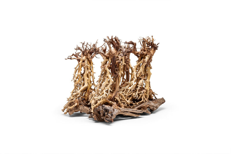 UNSHARDSCAPE UNS Bonsai 003 driftwood piece with natural, intricate wood texture for bonsai or decorative display.