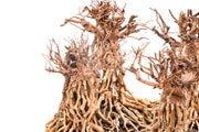 UNSHARDSCAPE UNS Bonsai 003 driftwood piece with intricate natural wood textures and organic shape on a neutral background.