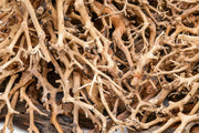 UNSHARDSCAPE UNS Bonsai 003 driftwood piece with intricate natural textures and organic shape for bonsai or decorative displays