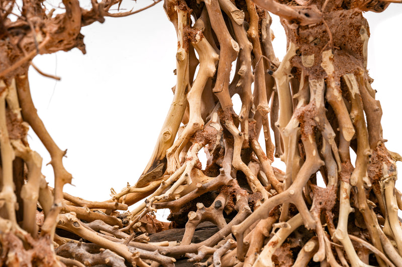 UNSHARDSCAPE UNS Bonsai 003 driftwood piece with intricate natural wood textures and organic shapes, ideal for bonsai or decorative displays