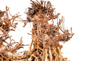 UNSHARDSCAPE UNS Bonsai 003 driftwood piece with intricate natural wood texture and organic shape for bonsai or decorative use