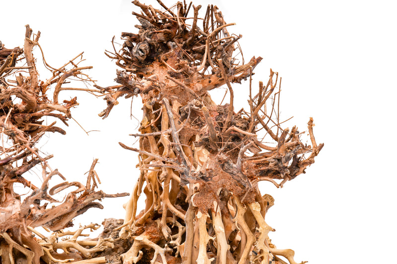 UNSHARDSCAPE UNS Bonsai 003 driftwood piece with intricate natural wood texture and organic shape for bonsai or decorative use