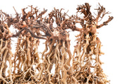 UNSHARDSCAPE UNS Bonsai 003 driftwood piece, natural wood sculpture for bonsai or decorative display on a neutral background