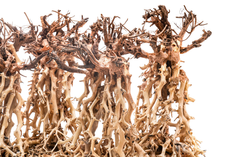 UNSHARDSCAPE UNS Bonsai 003 driftwood piece, natural wood sculpture for bonsai or decorative display on a neutral background