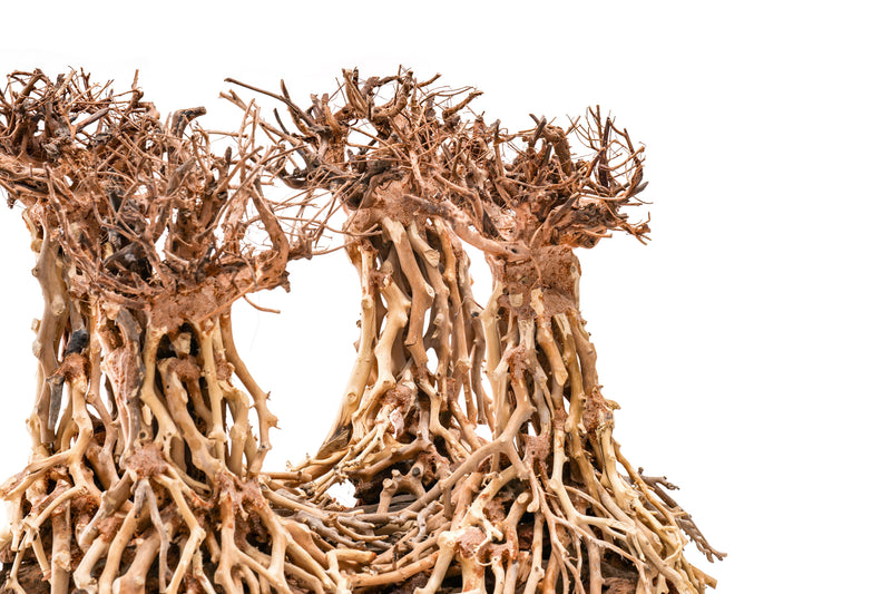 UNSHARDSCAPE UNS Bonsai 003 driftwood sculpture showcasing intricate natural wood details on a neutral background