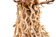 UNSHARDSCAPE UNS Bonsai 003 driftwood sculpture with intricate, natural wood grain and organic shape for decorative display