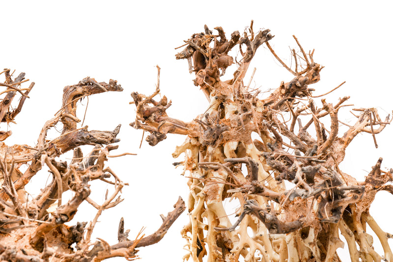 UNSHARDSCAPE UNS Bonsai 003 driftwood sculpture with intricate natural wood details for decorative display.