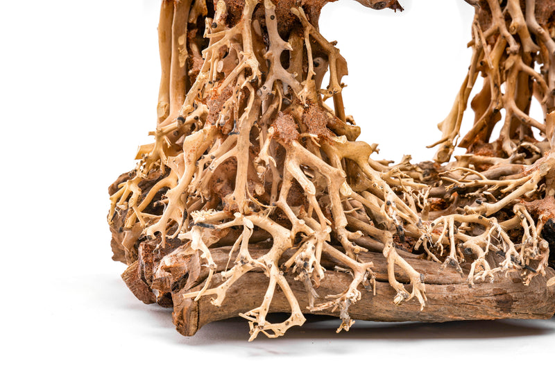 UNSHARDSCAPE UNS Bonsai 003 driftwood piece with natural, weathered texture and intricate wood grain detail.