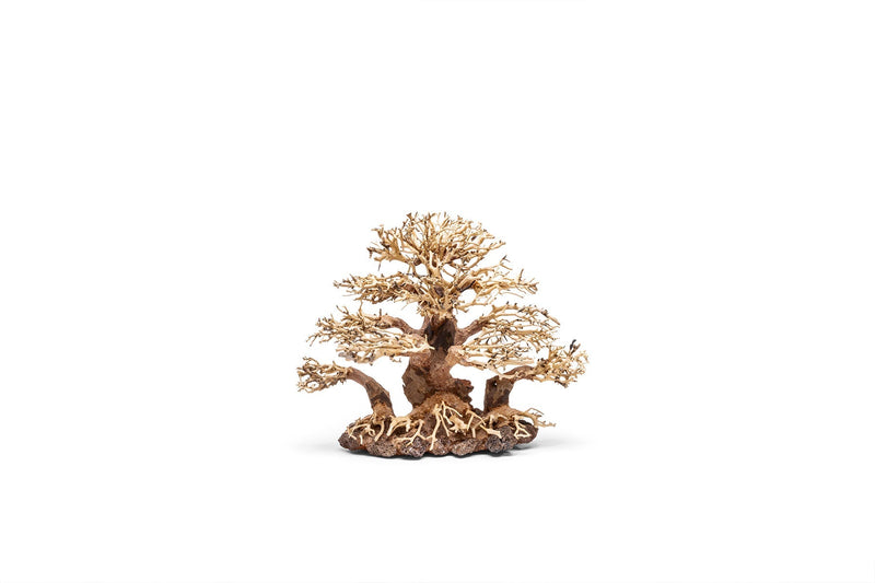 UNSHARDSCAPE UNS Bonsai 004 driftwood piece with natural, textured wood grain on a plain background