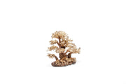 UNSHARDSCAPE UNS Bonsai 004 driftwood piece displaying natural wood textures and organic shapes for bonsai decoration.