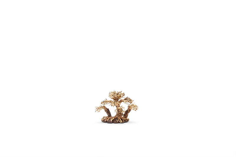 UNSHARDSCAPE UNS Bonsai 004 driftwood piece with natural, textured wood appearance for bonsai or decorative display