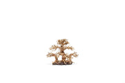 UNSHARDSCAPE UNS Bonsai 004 driftwood piece with intricate natural textures and organic shape for bonsai decoration or display