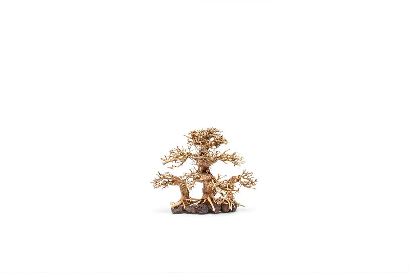 UNSHARDSCAPE UNS Bonsai 004 driftwood piece with intricate natural textures and organic shape for bonsai decoration or display