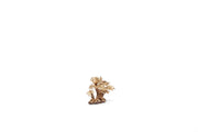 UNSHARDSCAPE UNS Bonsai 004 driftwood piece with intricate natural grain and curved shape, ideal for bonsai or decorative displays.