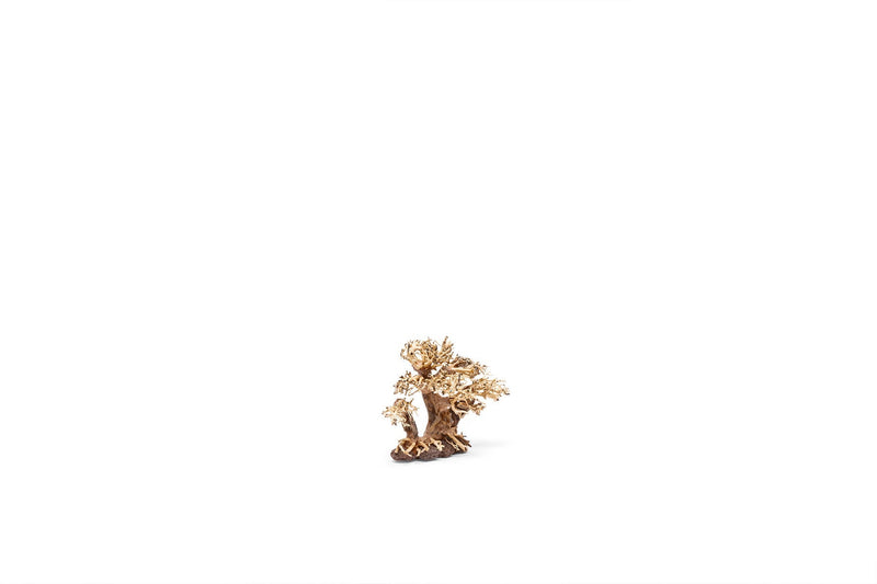 UNSHARDSCAPE UNS Bonsai 004 driftwood piece with intricate natural grain and curved shape, ideal for bonsai or decorative displays.