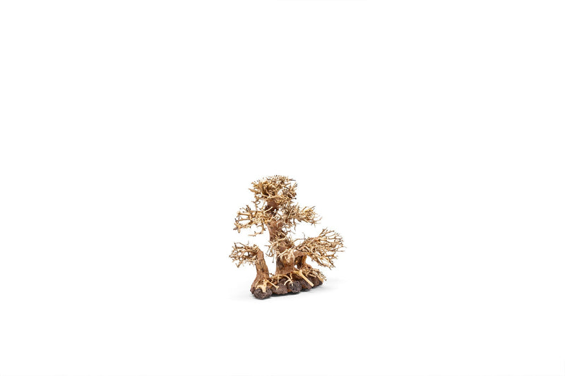 UNS Bonsai 004 driftwood piece by UNSHARDSCAPE, natural wood with intricate curves, ideal for bonsai or decorative displays.