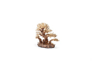 UNS Bonsai 004 driftwood piece from UNSHARDSCAPE, featuring natural, twisted wood suitable for bonsai and decorative displays.
