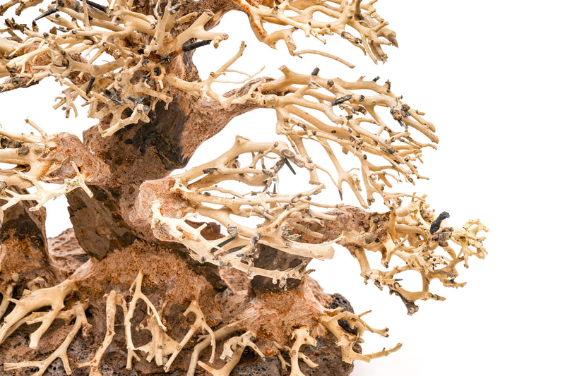 UNSHARDSCAPE UNS Bonsai 004 driftwood piece with intricate natural wood textures and organic shape for bonsai decoration or display