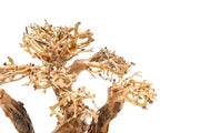 UNSHARDSCAPE UNS Bonsai 004 driftwood piece with intricate, natural wood grain and organic shape for bonsai or decorative display