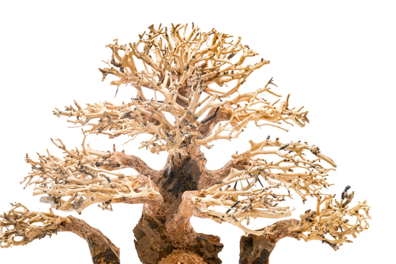 UNSHARDSCAPE UNS Bonsai 004 driftwood piece with intricate natural textures and organic shape for bonsai or decorative displays