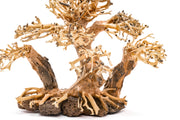 UNSHARDSCAPE UNS Bonsai 004 driftwood sculpture showing intricate, natural wood details on a neutral background