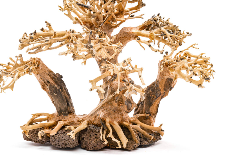 UNSHARDSCAPE UNS Bonsai 004 driftwood sculpture showing intricate, natural wood details on a neutral background