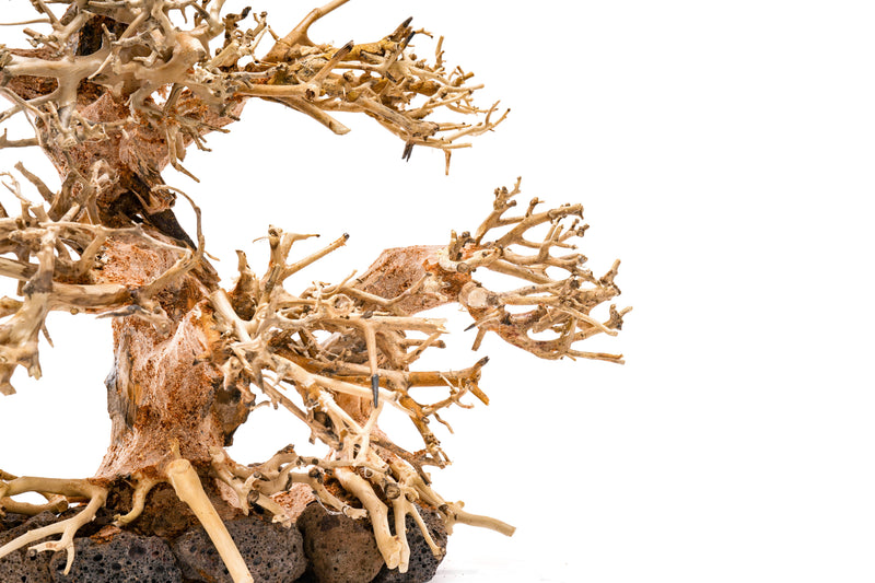 UNSHARDSCAPE UNS Bonsai 004 driftwood piece with natural, weathered texture for bonsai or decorative displays