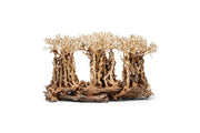 UNSHARDSCAPE UNS Bonsai 005 driftwood piece with intricate natural textures and organic shape for bonsai or decorative use