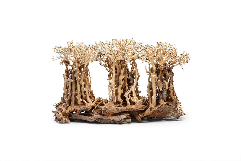 UNSHARDSCAPE UNS Bonsai 005 driftwood piece with intricate natural textures and organic shape for bonsai or decorative use