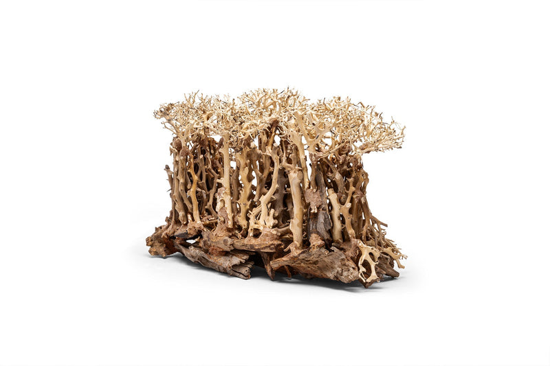 UNSHARDSCAPE UNS Bonsai 005 driftwood piece with intricate natural wood texture on a neutral background