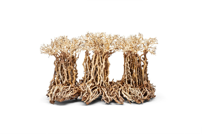 UNSHARDSCAPE UNS Bonsai 005 driftwood piece with twisted, natural wood shape for bonsai or decorative use
