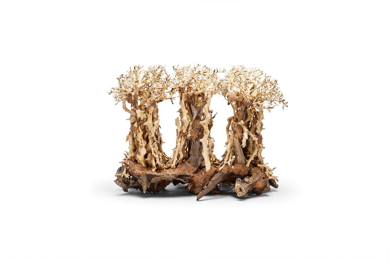 UNSHARDSCAPE UNS Bonsai 005 driftwood piece with intricate natural wood textures and organic shape for bonsai or decorative displays.