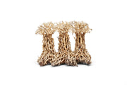 UNSHARDSCAPE UNS Bonsai 005 driftwood piece with intricate natural wood textures and organic shape, suitable for bonsai displays.