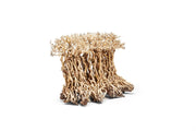 UNSHARDSCAPE UNS Bonsai 005 driftwood piece with intricate natural textures and organic shape for bonsai or decorative display