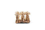 UNSHARDSCAPE UNS Bonsai 005 driftwood piece with natural, textured wood for bonsai or decorative displays.