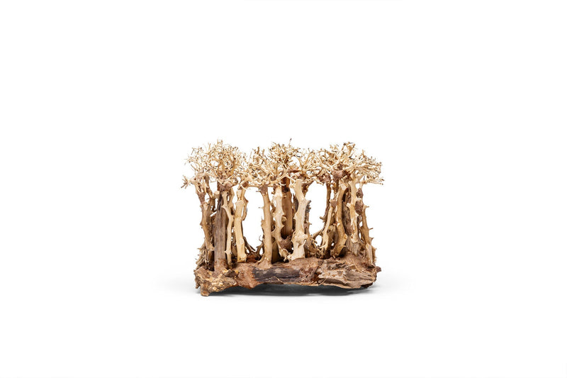 UNSHARDSCAPE UNS Bonsai 005 driftwood piece with natural, textured wood for bonsai or decorative displays.