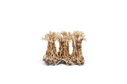UNSHARDSCAPE UNS Bonsai 005 driftwood piece with natural, weathered texture for decorative bonsai or artistic displays.