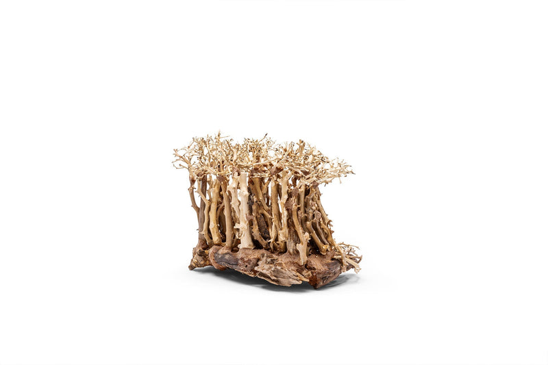 UNSHARDSCAPE UNS Bonsai 005 driftwood piece with natural, textured wood for bonsai or decorative displays