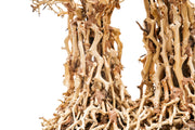 UNSHARDSCAPE UNS Bonsai 005 driftwood piece with intricate natural texture, ideal for bonsai or artistic wood displays